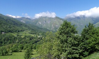 Photo N° 4