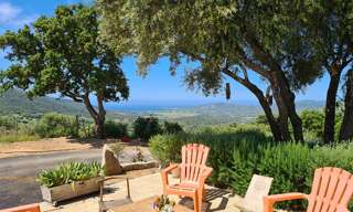 Maison 23 Pièces 508 m² à vendre à Sollacaro (20140)