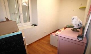 Photo N° 6