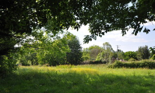 Photo N° 3