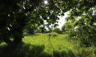 Photo N° 6