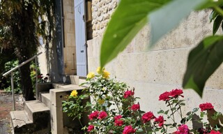 Photo N° 5