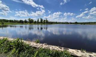 Commerce  171986 m² à vendre à Le Dorat (87210)