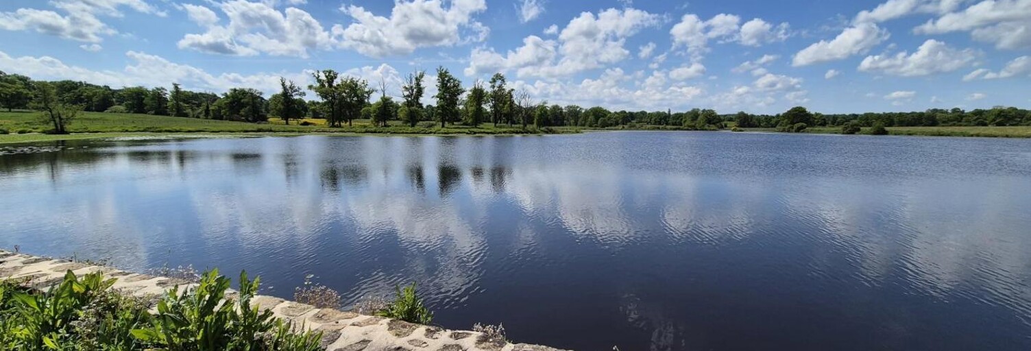 Commerce  171986 m² à vendre à Le Dorat (87210)