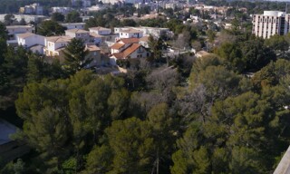Appartement 1 Pièce 11 m² à louer à Nîmes (30000)