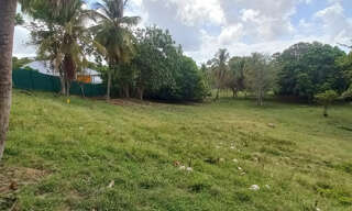 Terrain  968 m² à vendre à Le Gosier (97190)