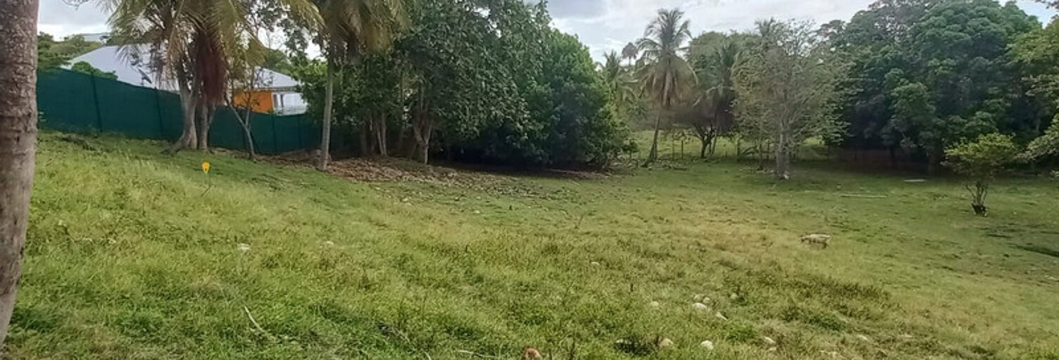 Terrain  968 m² à vendre à Le Gosier (97190)