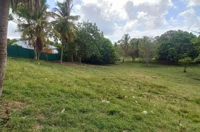 Terrain  215000 €