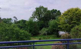 Photo N° 6