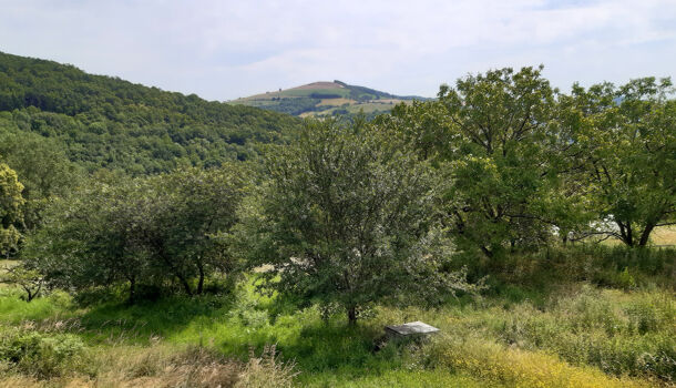 Villa / Maison 3 pièces  à vendre Curvalle 81250