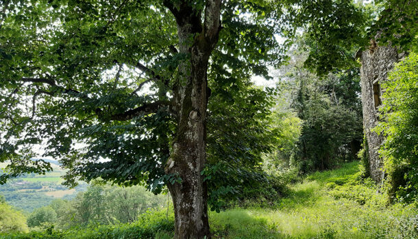 Villa / Maison 3 pièces  à vendre Curvalle 81250