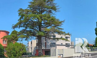 Appartement 2 Pièces 49 m² à louer à Nice (06200)