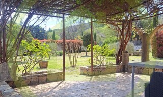 Photo N° 6