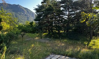 Photo N° 2