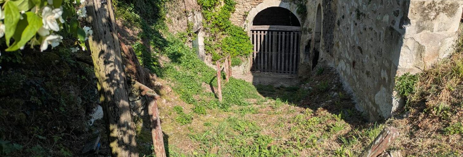 Photo N° 2