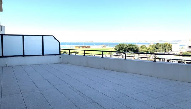 Appartement 3 pièces  à louer Marseille 8eme 13008