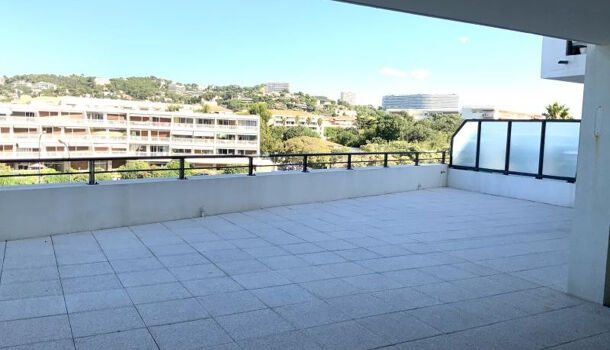 Appartement 3 pièces  à louer Marseille 8eme 13008