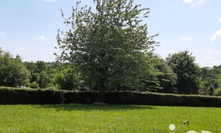 Photo N° 4