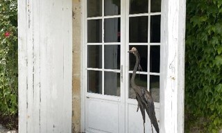 Photo N° 4