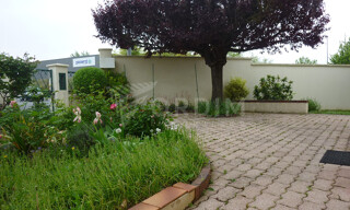 Photo N° 4