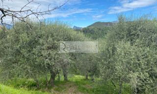 Terrain  11150 m² à vendre à Saint-Blaise (06670)