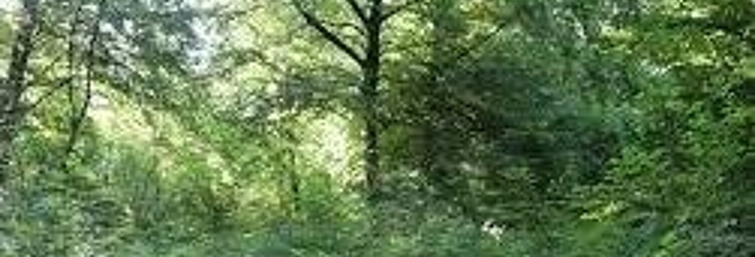 Terrain  474 m² à vendre à Mareil-Marly (78750)