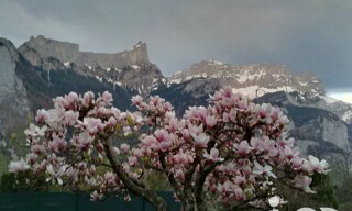 Photo N° 2