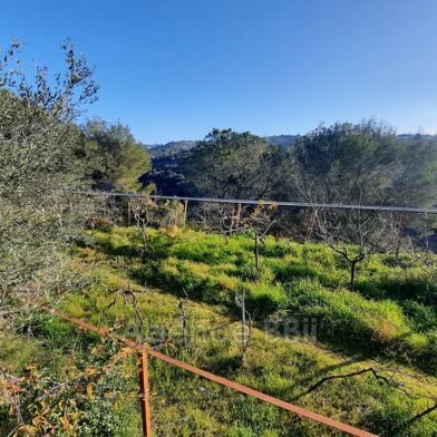 Terrain  329999 €