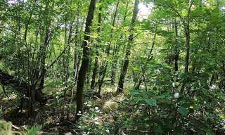 Maison 7 Pièces 212 m² à vendre à Joué-lès-Tours (37300)