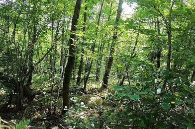 Maison 7 pièces 550000 €