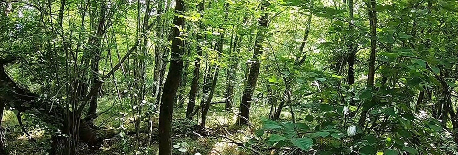 Maison 7 Pièces 212 m² à vendre à Joué-lès-Tours (37300)