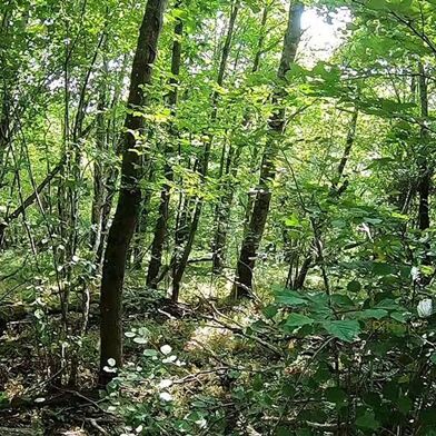 Maison 7 pièces 550000 €