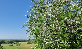Photo N° 5