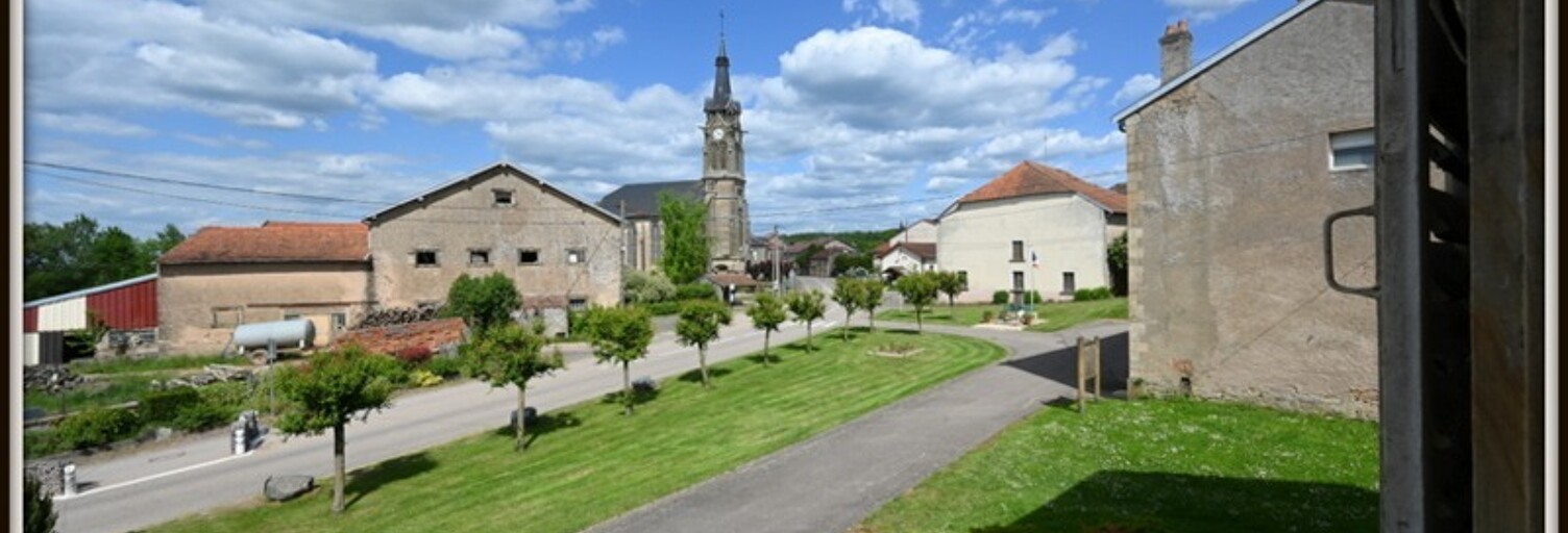 Maison 7 Pièces 191 m² à vendre à Fenneviller (54540)