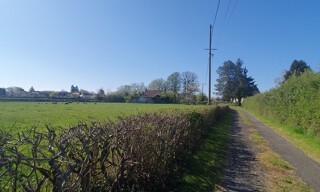 Photo N° 5