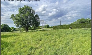 Photo N° 7