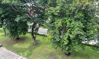 Photo N° 6