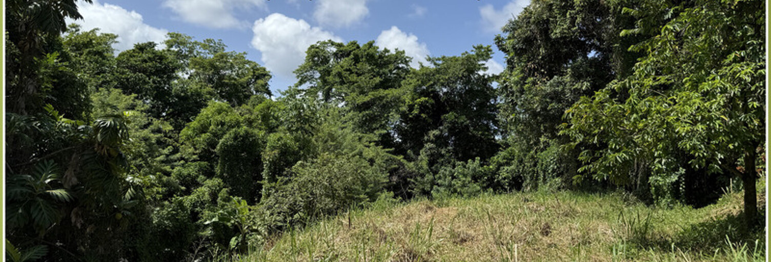 Terrain  1015 m² à vendre à Le Marin (97290)