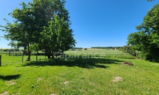 Photo N° 4