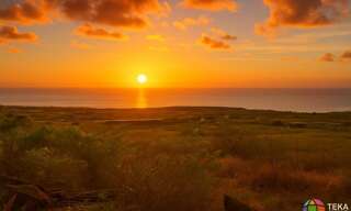 Terrain   m² à vendre à Saint-Paul (97434)