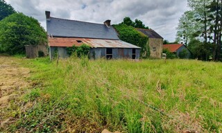 Photo N° 4