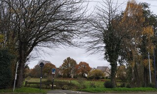 Photo N° 3