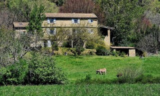 Photo N° 4