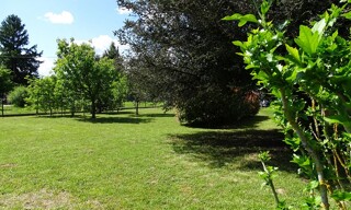 Photo N° 6