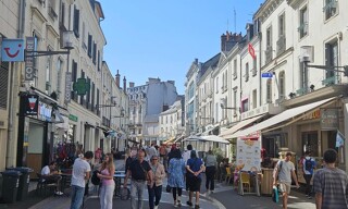 Commerce  69 m² à louer à Tours (37000)
