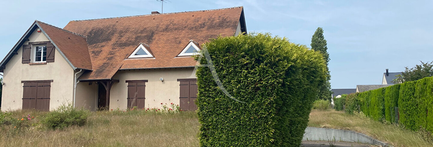 Maison 9 Pièces 260 m² à vendre à Saint-Denis-de-l'Hôtel (45550)