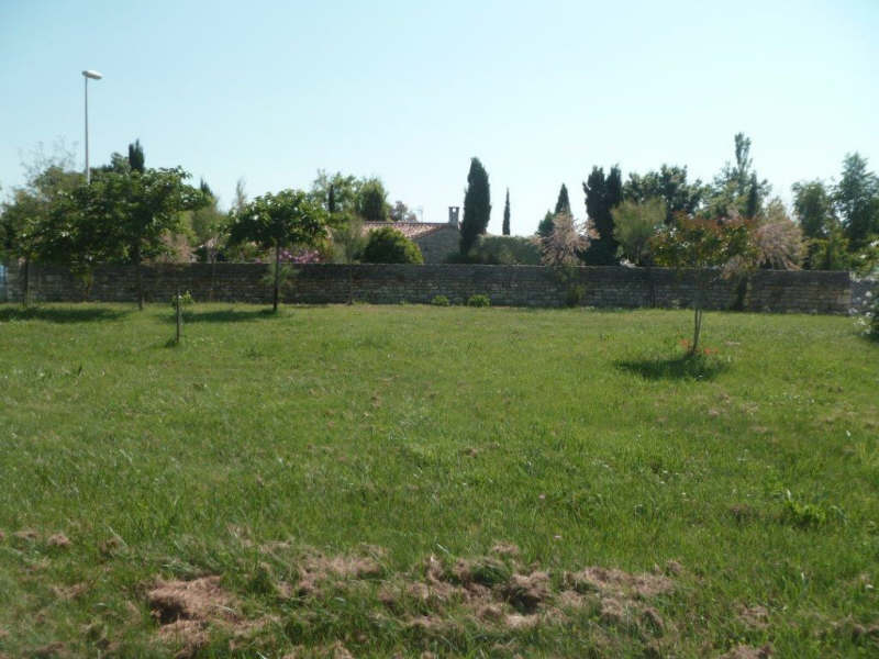 Terrain  à vendre Dolus-d'Oléron 17550
