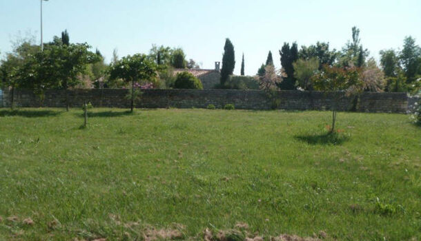 Terrain  à vendre Dolus-d'Oléron 17550