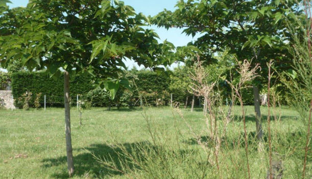 Terrain  à vendre Dolus-d'Oléron 17550