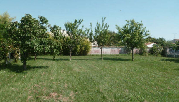 Terrain  à vendre Dolus-d'Oléron 17550
